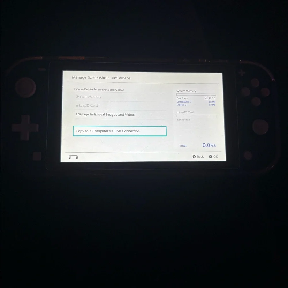 Nintendo Handheld Console with Red Case